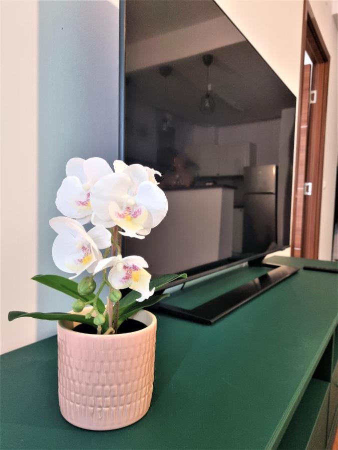Summer Onix Mamaia Nord Apartament 那沃达利 外观 照片